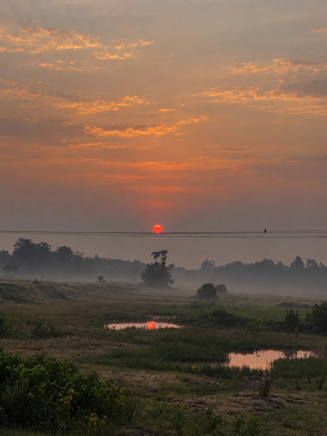Red sun behind power lines above a misty field, with small pools reflecting its glow