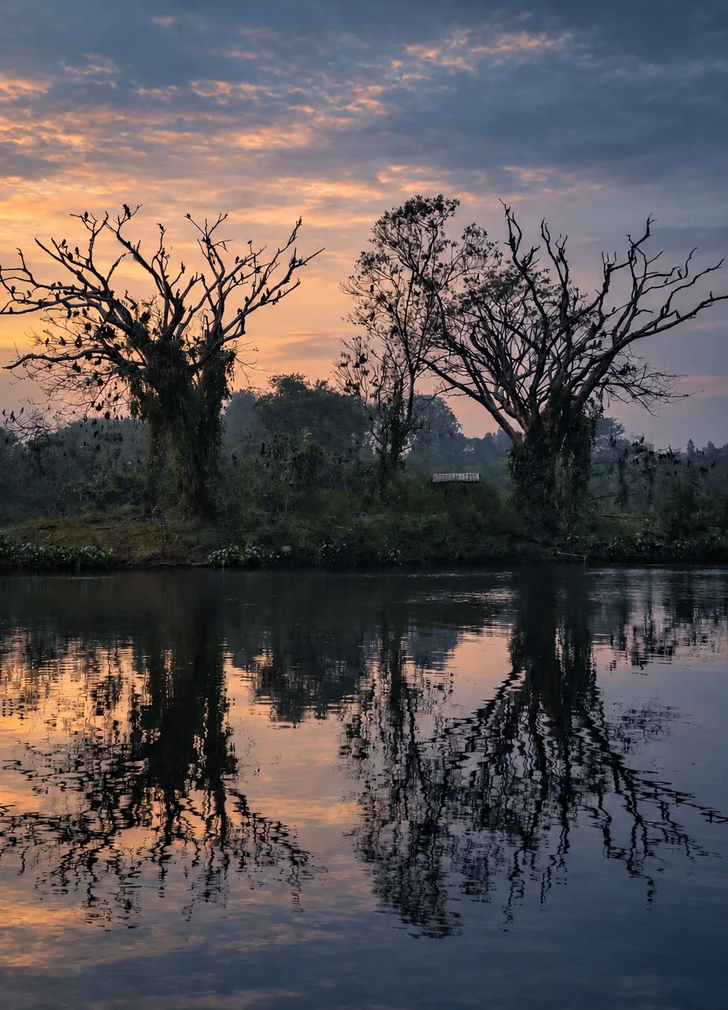 Two bare trees silhouetted against an orange and purple sky, mirrored in still water