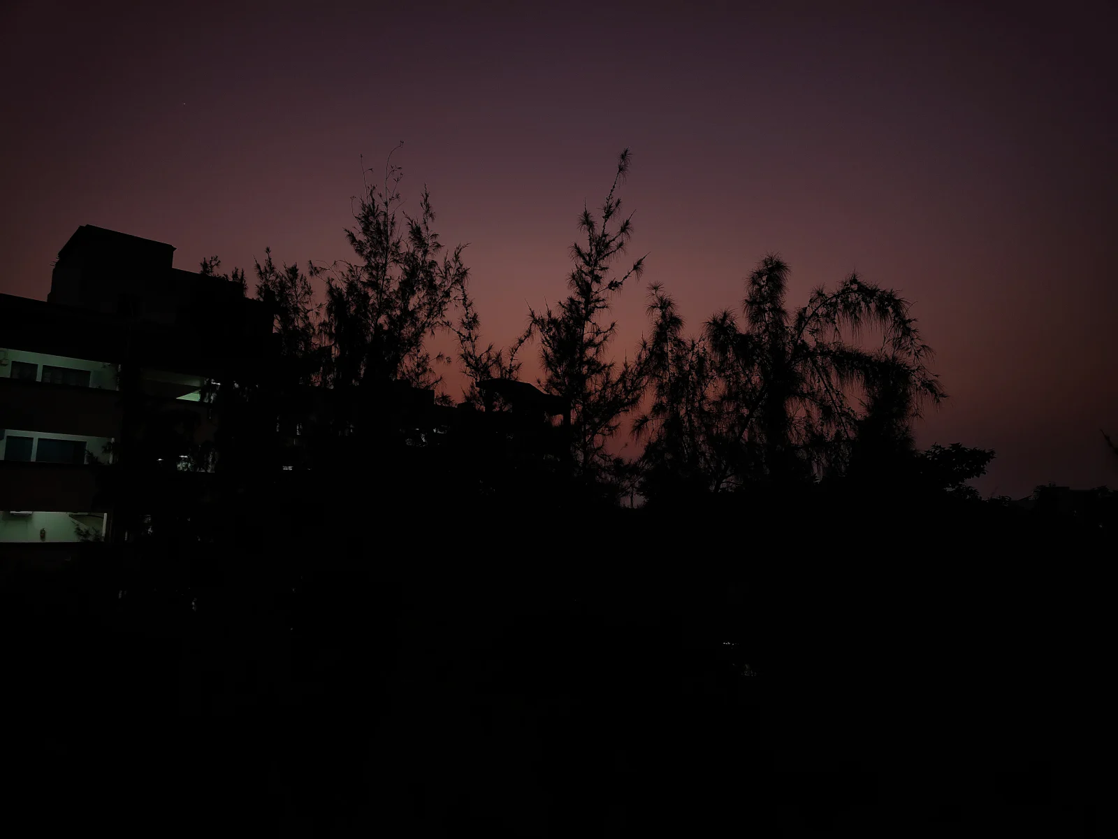 Trees and a building silhouetted against a purple afterglow